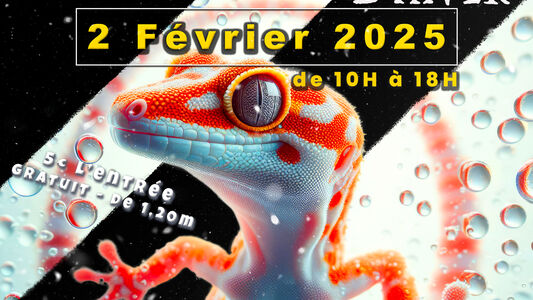 3ème bourse aux reptiles d'hiver de Béthune