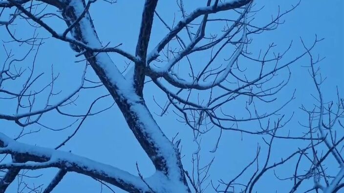 Loos-en-Gohelle sous la neige ce jeudi