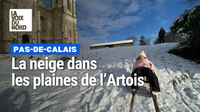 Neige : le manteau blanc dans les plaines de l'Artois de Maroeuil à Neuville-Saint-Vaast