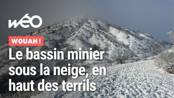 Loos-en-Gohelle : on a grimpé les terrils du bassin minier sous la neige