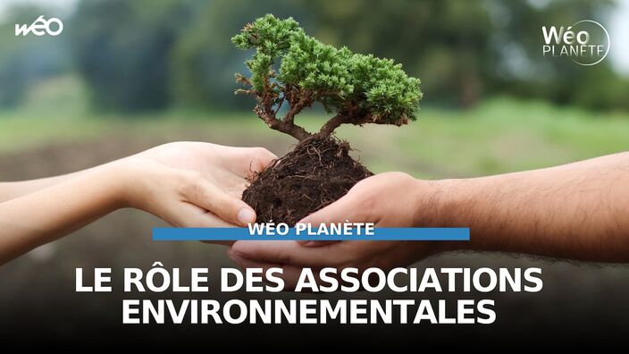 Les associations environnementales pour limiter le réchauffement climatique