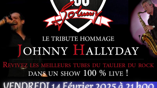 Concert hommage à Johnny Hallyday 