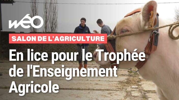 Trophée de l'enseignement agricole : 6 étudiants beauvaisiens prêts pour le ring...