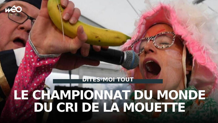 Dunkerque : le Championnat du Monde du Cri de la Mouette