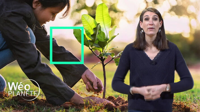 Avec l'OFB, les entreprises peuvent s'engager pour la nature