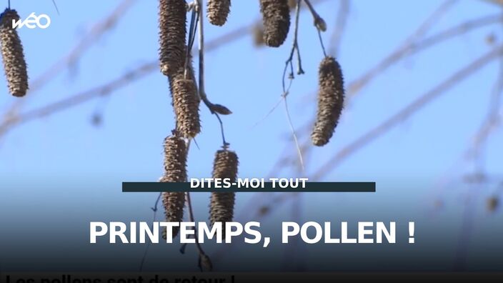 Les pollens sont de retour !