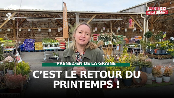 Prenez-en de la graine : Retour du printemps, retour au jardin !