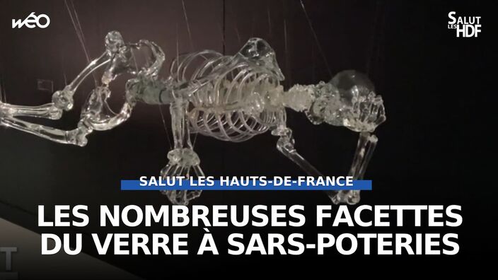 MusVerre à Sars-Poteries (59) : l'art du verre explore les profondeurs du corps humain avec l'exposition "À corps"